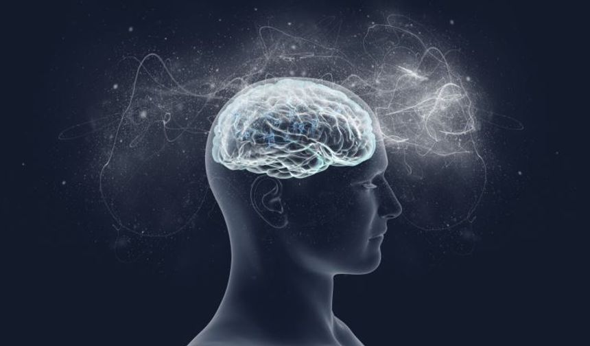 Ehliyette IQ Testi Başlıyor mu? İşte Merak Edilenler!