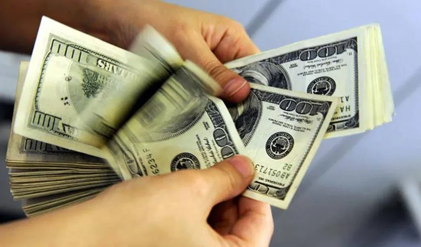 Dolar ve euroda yeni zirveler!