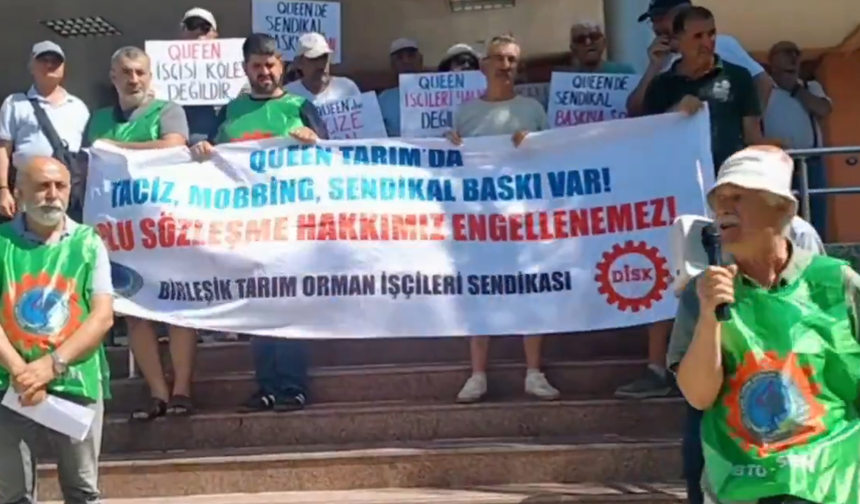 Queen Seracılık işçileri sendikal hakları için direniyor