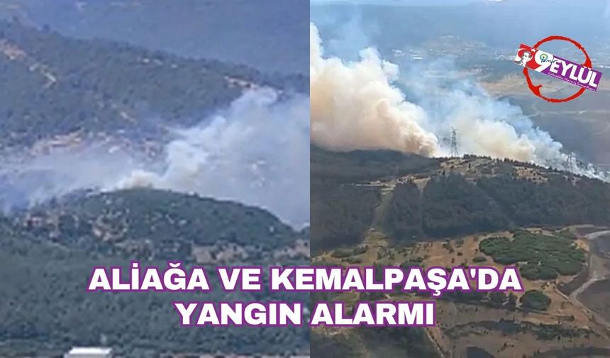 Aliağa ve Kemalpaşa'da yangın alarmı