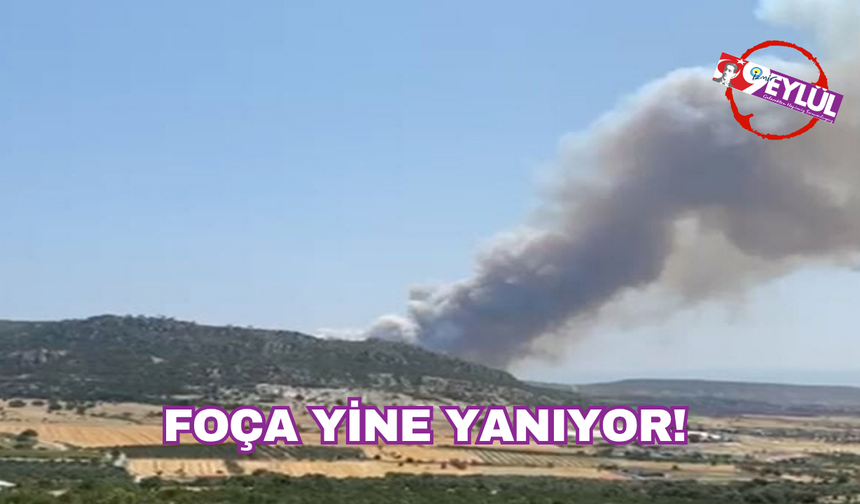 Foça yine yanıyor!