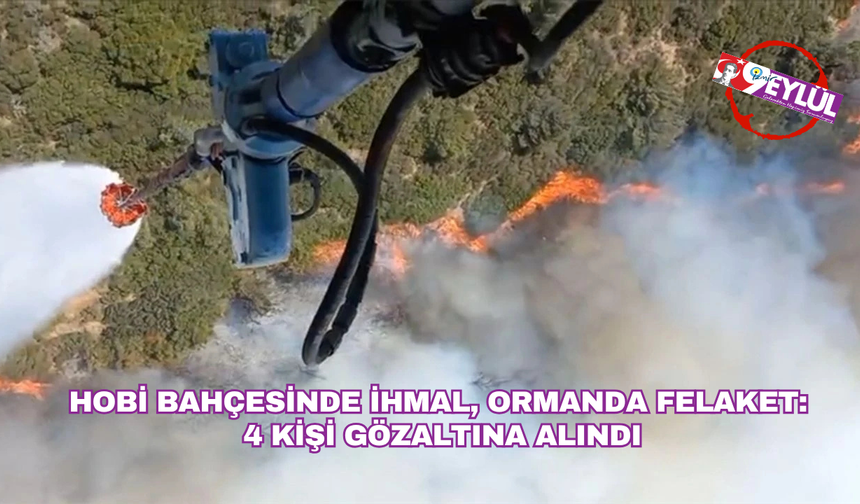 Hobi bahçesinde ihmal, ormanda felaket:  4 kişi gözaltında