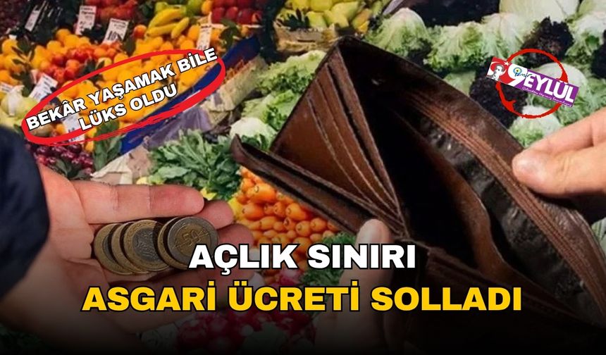 Yoksulluk sınırı 85 bin lirayı aştı: Asgari ücret, bir kişinin yaşam maliyetine bile yetmiyor!