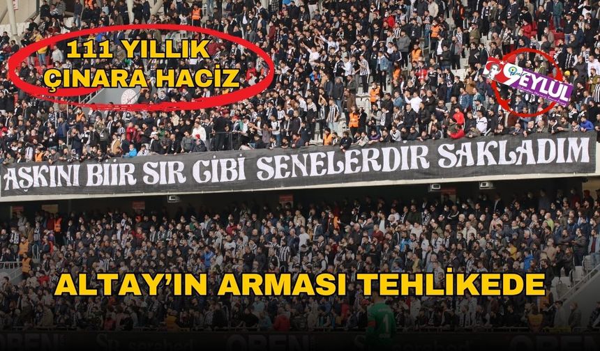111 Yıllık Çınara Haciz Şoku: Altay’ın Arması Tehlikede