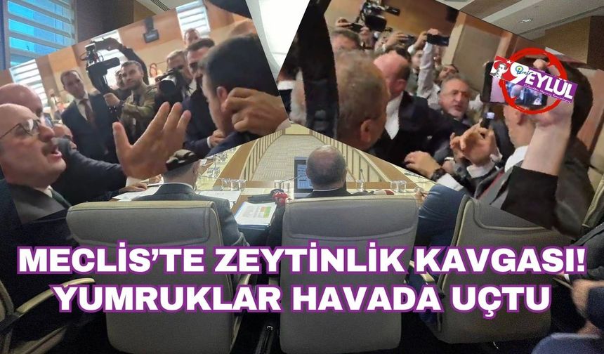 Meclis’te 'zeytinlik' kavgası! Yumruklar havada uçtu