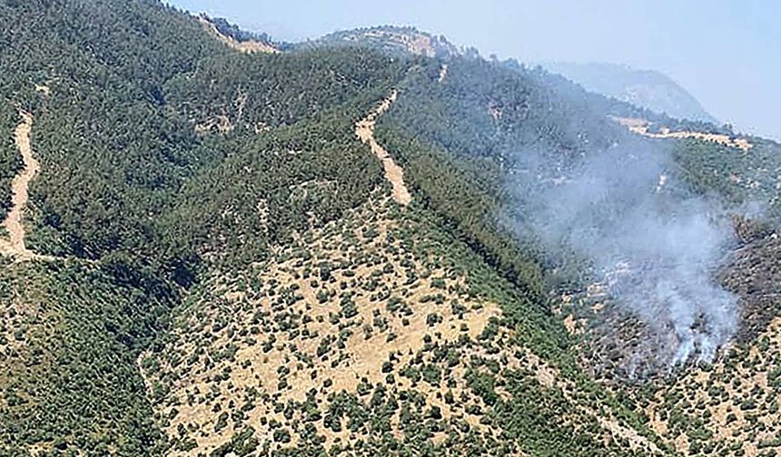 Manisa'da korkutan orman yangını