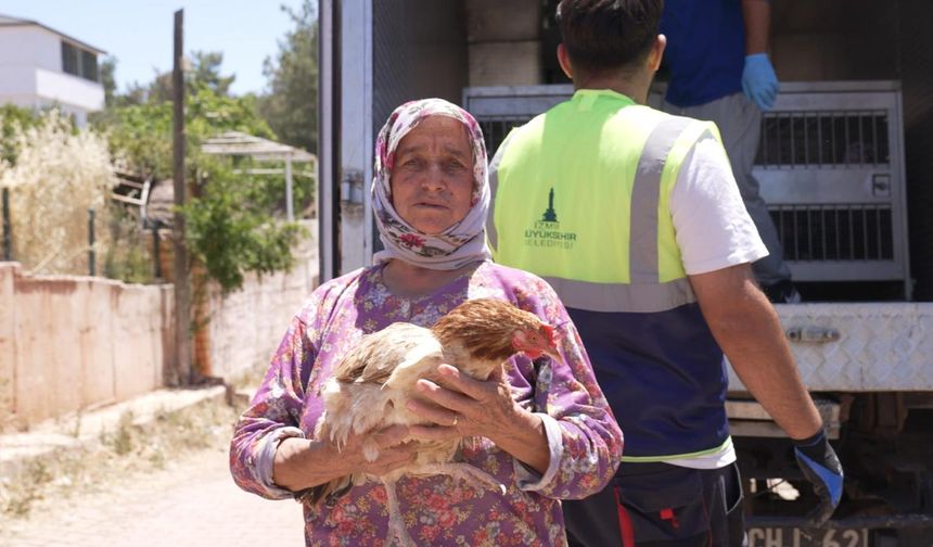 İzmir’deki yangından kurtarılan tavuklarına kavuştu