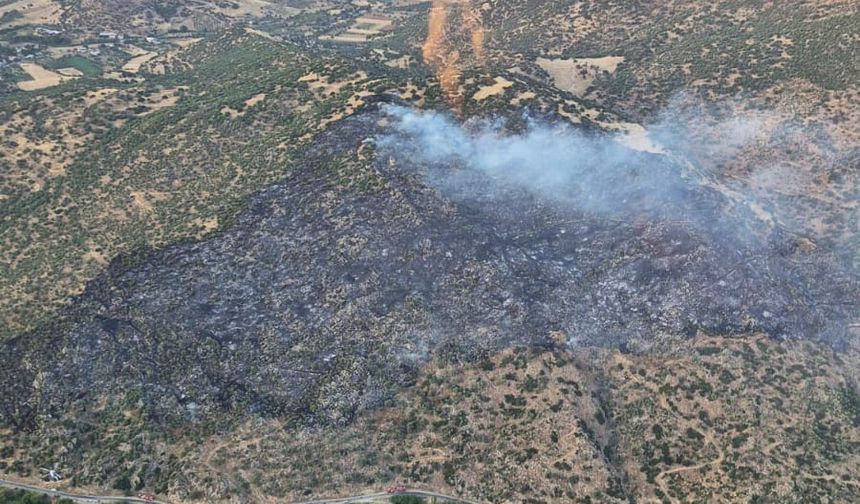 Aydın Nazilli’de makilik alanda yangın paniği: 10 dönüm kül oldu, bir kişi gözaltında