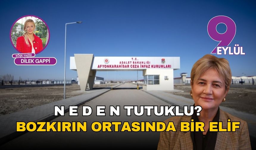 N E D E N TUTUKLU? BOZKIRIN ORTASINDA BİR ELİF
