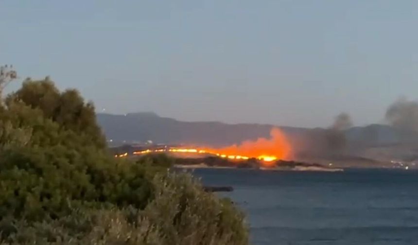İzmir’de orman yangını alarmı: Aliağa'daki yangın kontrol altına alındı!