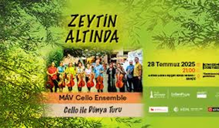 Zeytin Altında konserleri MAV Cello Ensemble ile başlıyor