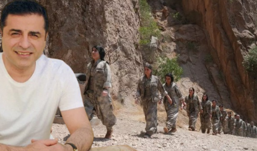 Selahattin Demirtaş'tan 'silah bırakma' açıklaması