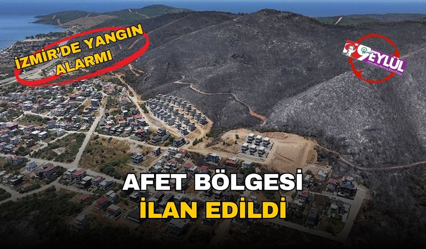 İzmir ve Bilecik’te afet alarmı: Yangın felaketi sonrası ilçeler afet bölgesi ilan edildi