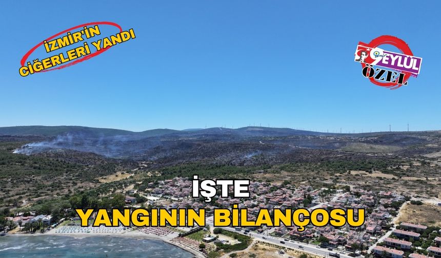 İzmir'in ciğerleri yandı: İşte yangının bilançosu