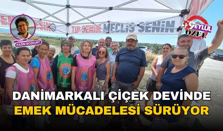 İzmir Dikili'de Danimarkalı çiçek devinde emek mücadelesi sürüyor