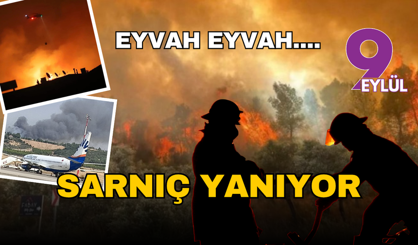 Sarnıç'ta korkutan yangın: Hızla yayılıyor