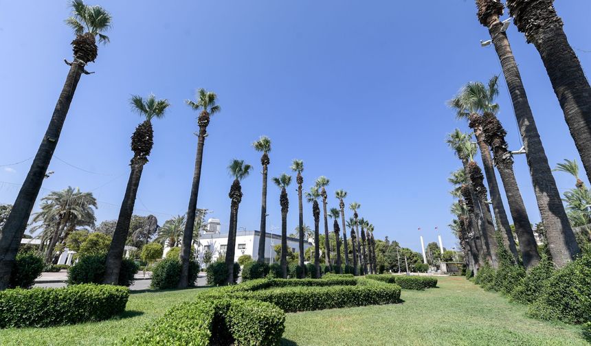 İzmir Kültürpark’ın palmiyeleri yapay zeka ile koruma altında