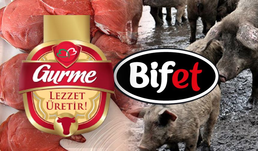 Bifet dana salamda domuz eti var mı?