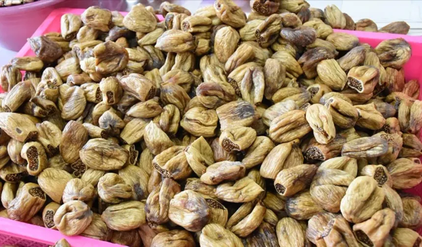 Kuru incir hasadı başladı: Kilosu 400 TL’ye kadar çıkıyor