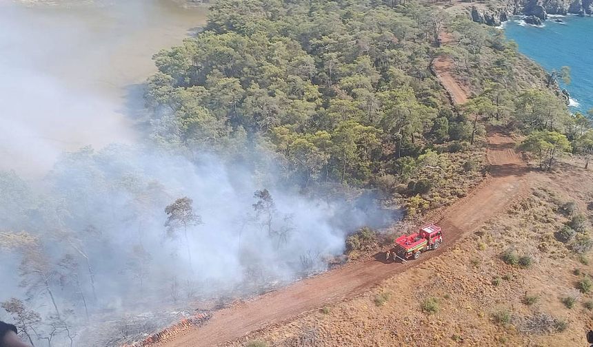 Fethiye’de orman yangını: Ekipler alevlere havadan ve karadan müdahale ediyor
