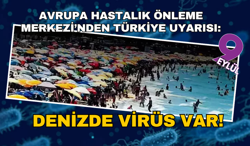 Vibrio bakterileri artık Türkiye kıyılarında...