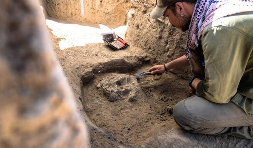 Konya Ovası'nın 3 bin 500 yıllık sırrı: Kalamar sofrası