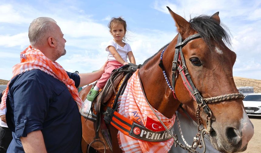 Türkiye’nin en başarılı atları Menemen’de yarışacak