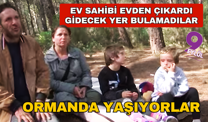 Nereye gitseler kovuldular, ormanda kalmaya başladılar