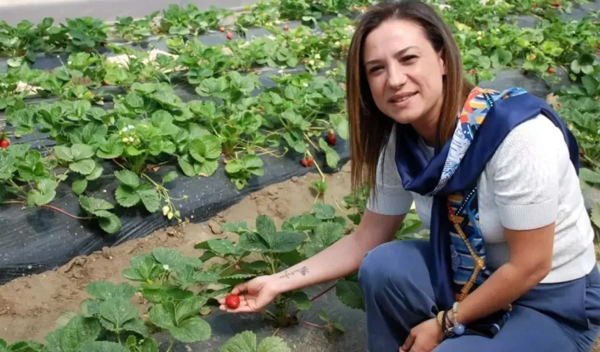 Atatürk’ün üretim anlayışıyla hayata geçirilen proje: Efes Tarlası Yaşam Köyü dikkat çekti