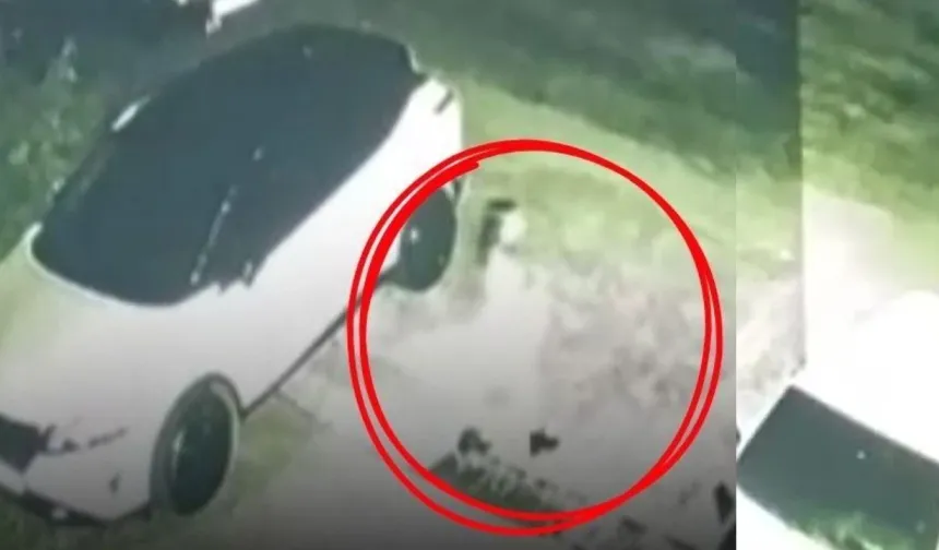 İzmir’de 13 yaşındaki kız çocuğu kayboldu: AFAD ve jandarma seferber oldu