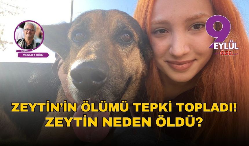 Zeytin’in ölümü tepki topladı! Zeytin neden öldü?
