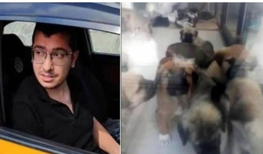 Köpek sapığı ile ilgili yeni gelişme