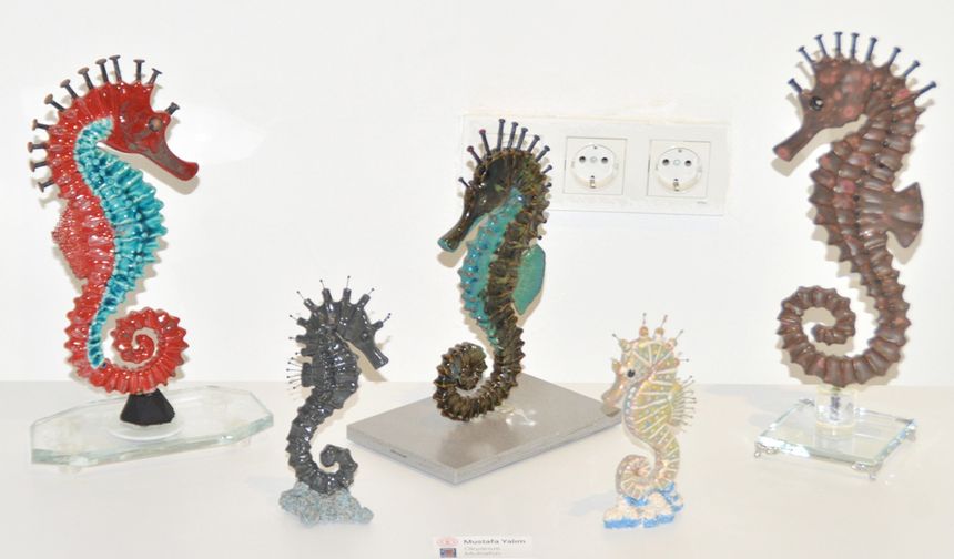 Galeride denizaltı dünyası