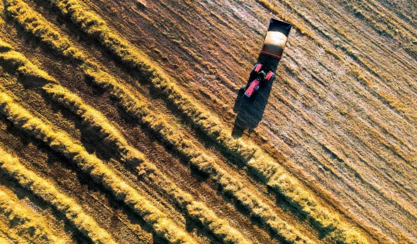 Kuraklık çiftçiyi de, sofrayı da vurdu
