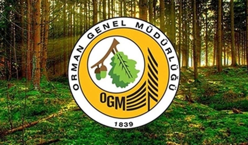 OGM 496 personel alacak! Orman Genel Müdürlüğü personel alımı 2026