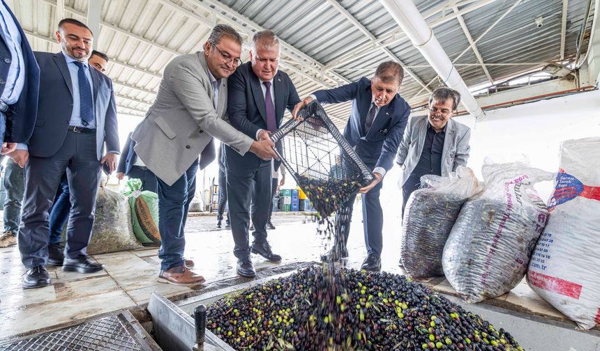 Urla, Zeytinin Bereketi ve Sanatın Işığıyla 3 Gün Boyunca Parlayacak!