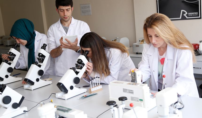 Türkiye'nin yükseköğretim röntgeni: 7 milyon öğrenci