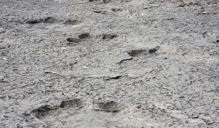 İtalya'da binlerce dinozor ayak izi keşfedildi