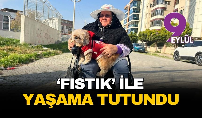 Tekerlekli sandalyedeki Mesude teyzenin hayata tutunma öyküsü: Acılarını ‘Fıstık’ ile dindirdi