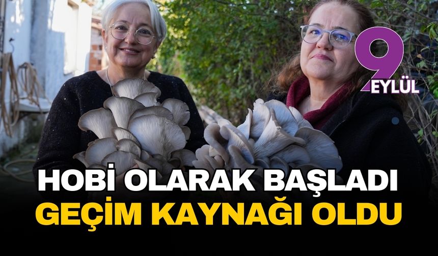 Güzelbahçe’de kadın elinin değdiği tarım devrimi: İstiridye mantarı ilçenin yeni gelir kapısı oldu
