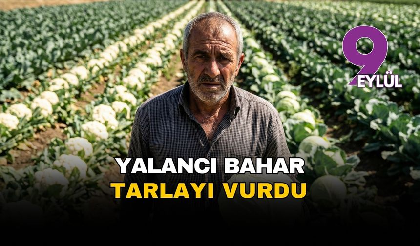 Yalancı bahar tarlayı vurdu: Torbalı'da üretici 'bolluk' çıkmazında