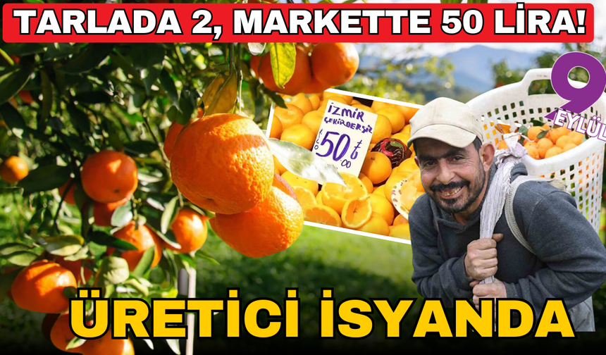 Tarlada 2, markette 35 lira! Üretici isyanda