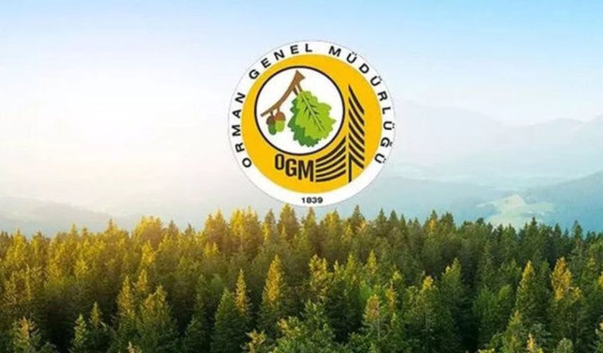 OGM personel alımı yapacak: Başvuru nasıl yapılır, şartlar neler?