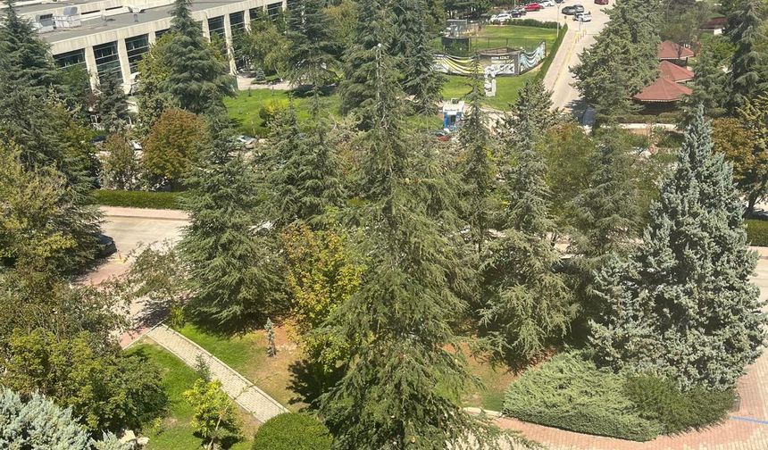 Başkent Üniversitesi’nden çevre başarısı: Dünya sıralamasında ilk 101'e girdi