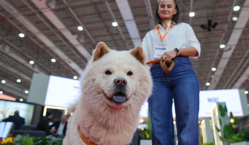 Pet İzmir kapılarını dünyaya açtı