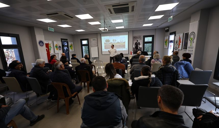 Efes Selçuk’ta üreticiye can suyu: Zeytin ağaçları bilimsel yöntemlerle gençleşiyor