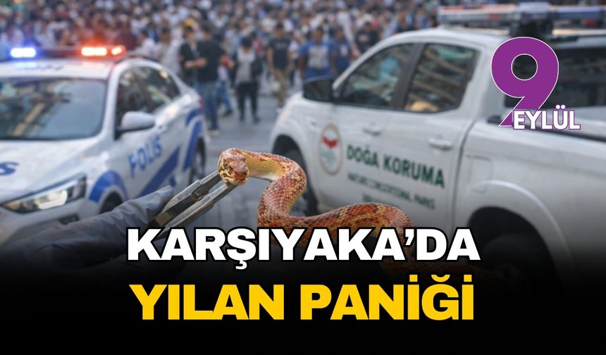 Karşıyaka caddelerinde akılalmaz görüntü: Yasaklı yılanla gezintiye çıktı, bedelini ağır ödedi