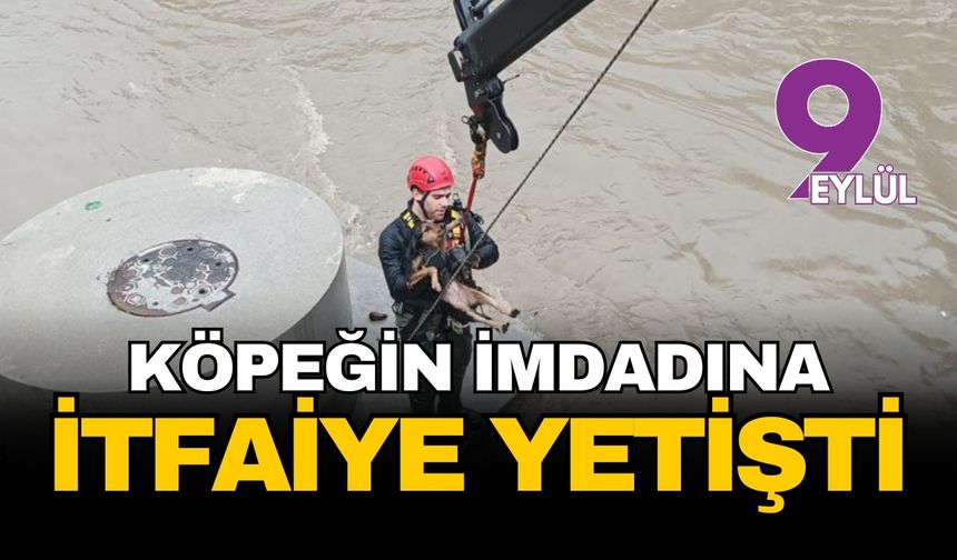 İzmir Karabağlar'da derede mahsur kalan köpeğin imdadına itfaiye yetişti