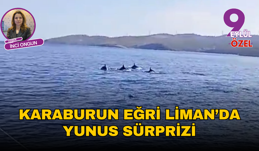 Karaburun Eğri Liman’da Yunus Sürprizi