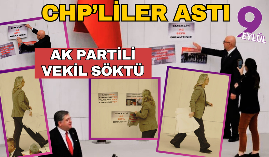 Meclis'te bir ilk: Dövizleri CHP'li vekiller astı, AKP'li vekil söktü